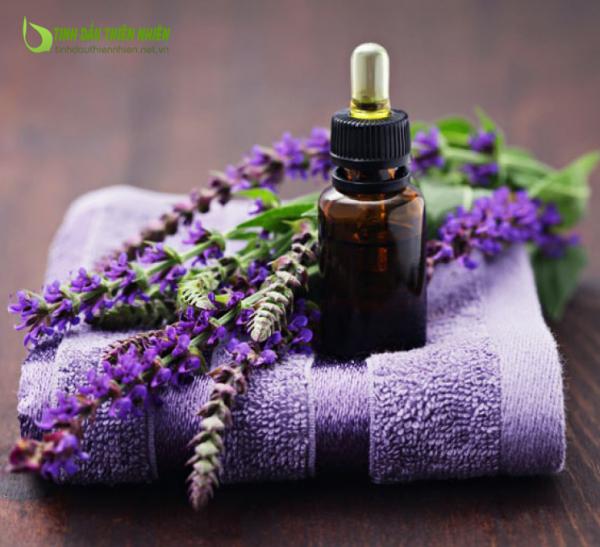 Tinh dầu masage oải hương - hương thơm nhẹ nhàng