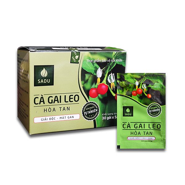Cà gai leo hòa tan