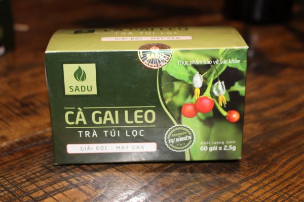 Cà gai leo trà túi lọc 2.5g