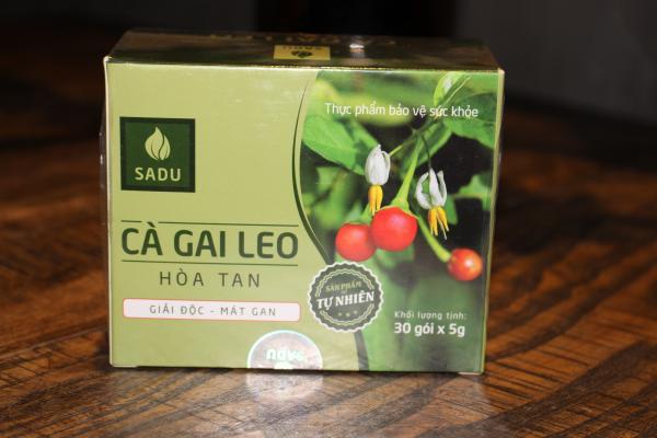 Cà gai leo trà túi lọc 5g