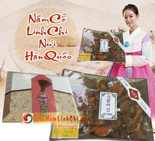Nấm linh chi cổ Hàn Quốc