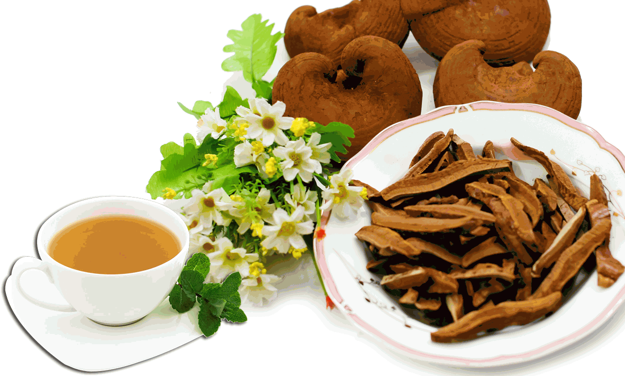 Nấm linh chi Hàn Quốc
