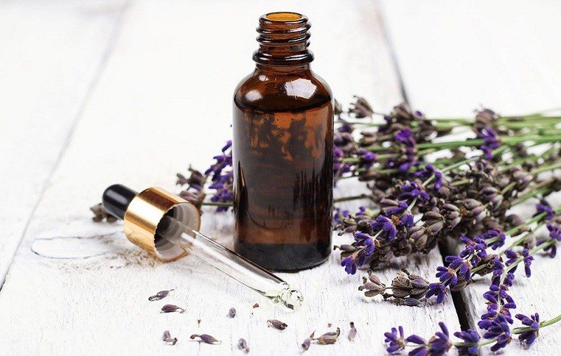 Tinh dầu oải hương - lavender essential oil