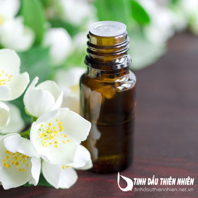 Tinh dầu treo ô tô hoa nhài