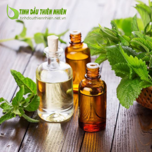 Tinh dầu treo ô tô Bạc hà