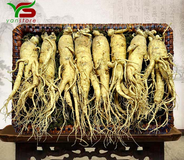 Sâm tươi Hàn Quốc 8 củ - 1kg