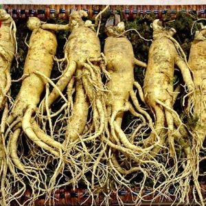 Nhân sâm tươi hàn quốc loại 6 củ/1kg
