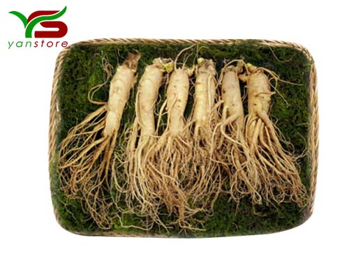 Sâm tươi Hàn Quốc 6 củ - 1kg