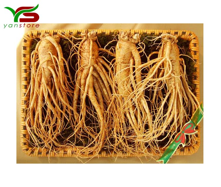 Sâm tươi Hàn Quốc 4 củ - 1kg