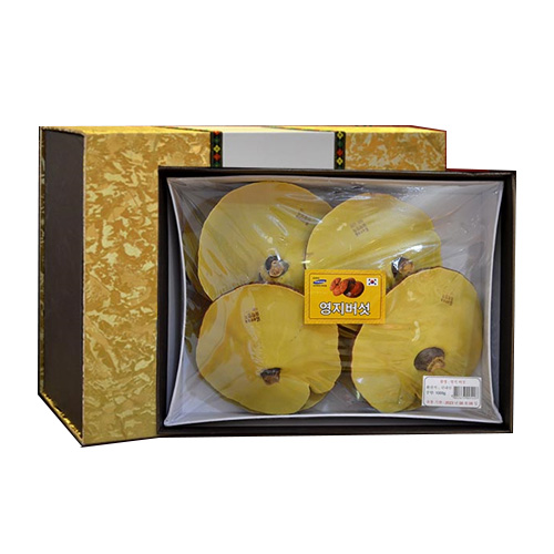 Nấm linh chi Hàn Quốc hộp vàng kim tuyến