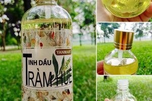 ” Mách mẹ ” cách phân biệt tinh dầu tràm Huế nguyên chất và pha