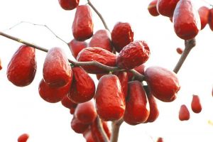 Công thức pha trà táo đỏ Hàn Quốc giúp làm đẹp da, chống lão hóa