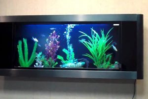 Mẫu bể cá treo tường đẹp, giá rẻ