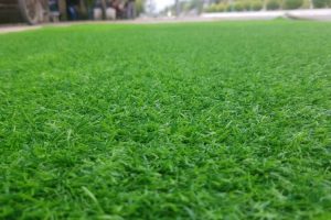 Thảm Cỏ Nhân Tạo Có Chịu Được Thời Tiết Khắc Nghiệt Không?