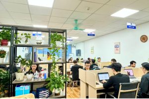 Seo web tổng thể: Chiến lược tối ưu hóa website hiệu quả và bền vững