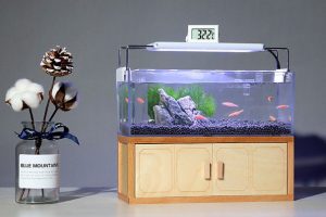 Đèn bể cá mini: Giải pháp hoàn hảo cho bể cá nhỏ gọn