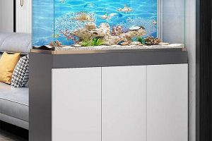 Bể cá chân tủ: Hướng dẫn chọn, lắp đặt và bảo dưỡng chi tiết